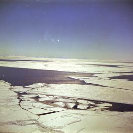 Sea Ice 