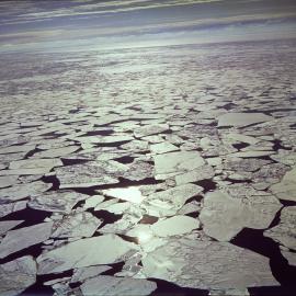 Sea Ice 