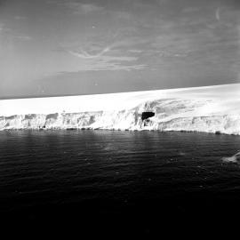Balleny Islands: Franklin Island