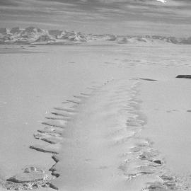 Erebus Glacier Tongue