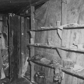 Eric Gibbs Looking at Relics on the Shelves of Scott's Hut