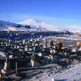 Foundations for Stage VII