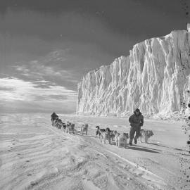 Dog Sledging 
