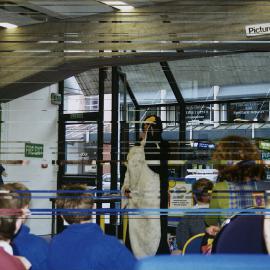 Margaret Mahy dressed as a penguin during her book launch "The Riddle of the Frozen Phantom"