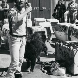 Grant Gillespie unloading Scott Base dogs off ship 