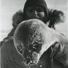 Tas Carryer with Weddell seal pup