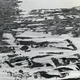 Part of Cape Hallett penguin colony from air 