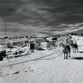 Dogs outside ANARE Station at Mawson