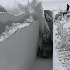 The Peter snow miller 