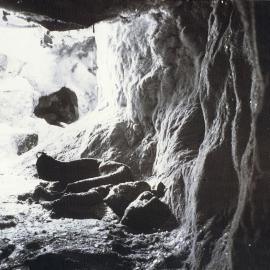 Snow cave made by Campbells Nothern expedition in winter of 1912 