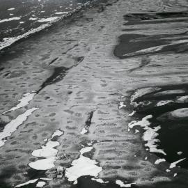 Cape Adare penguin colony