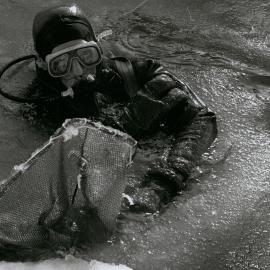 Diving at Pram Point