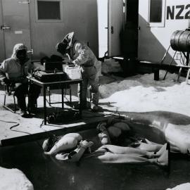 Drs S Legg and T Richardson monotoring R Janek and Dave Palmer in Quick Don immersion suit