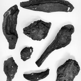 Rocks from Campbell-Aviator Divide