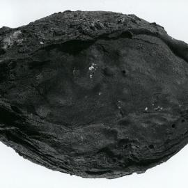 Rocks from Campbell-Aviator Divide