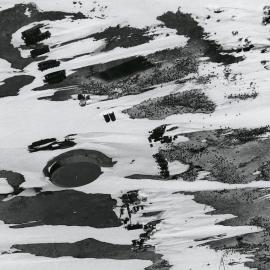 Cape Hallett Adelie Penguin Rookery