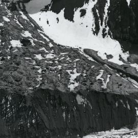 Part of Cape Cotter Adelie Penguin rookery