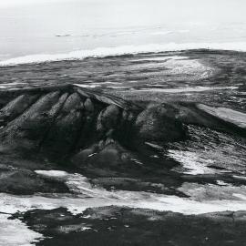 Part of Possession Island Adelie Rookery