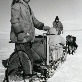 Dog handler Mike Wing| sledge and mileage meter