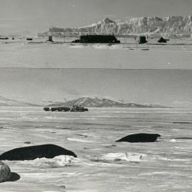 Tractor train on its way past Weddell seals 
