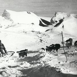 Dog team in mountains