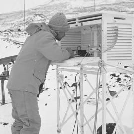 Stevensson's Screen| Don Wilkinson