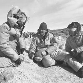 Euan Young| and Connie Bergman| Peter Stevens| with nearly fledged penguin chick