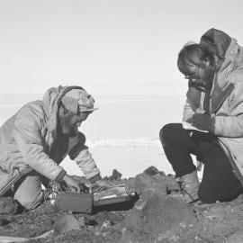 Science| Biology| David Owen| Colin Meurk