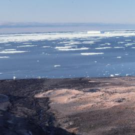 Adelie Penguin Northern Rookery