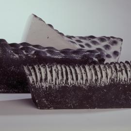 'Deeptime', Raewyn Atkinson