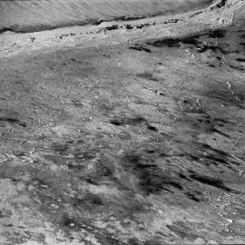 Overhead Photographs of Cape Washington Emperor Penguin Colony 1981
