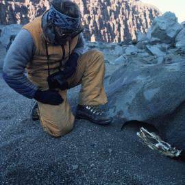 Tony Parker and mummified penguin remains