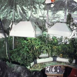 Hydroponics Room, Scott Base