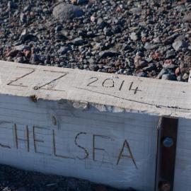 Names carved into the steps leading to the Cape Bird hut