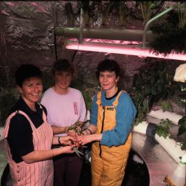 Hydroponics Unit - Sally White, Helen Clarke and Tuppence Loe