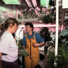 In the Hydroponics Unit