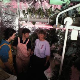 In the Hydroponics Unit