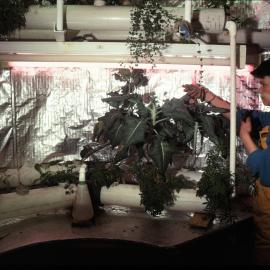 In the Hydroponics Unit