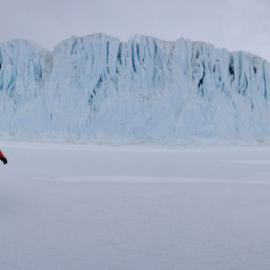 Panorama of the Barne Glacier