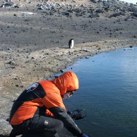 Conductivity  measurement Pony Lake, Cape Royds