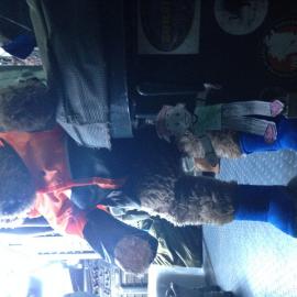 Flat Stanley Visits Antarctica