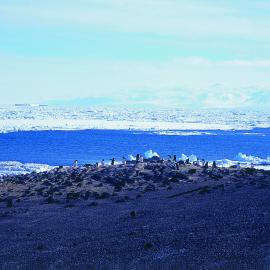 McMurdo Sound