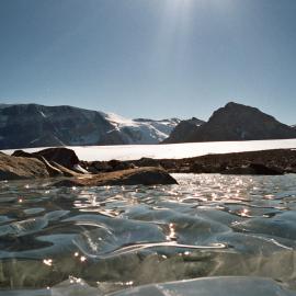 Darwin Glacier