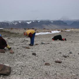 Close Inspection of Heimdall Erosion Surface, col between Nickell Peak and Sponsors Peak