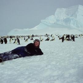 Victoria  Metcalf at Cape Washington emperor penguin colony