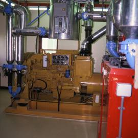 Stage VI Powerhouse - Generator
