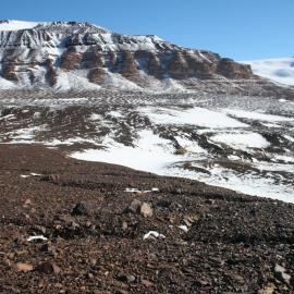 Battleship Promontory  lichen Site