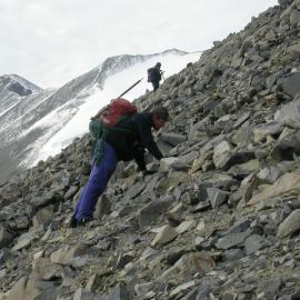 k024d a.sparrow inspecting habitat in upper garwood valley