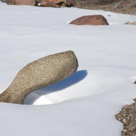 A strange looking rock