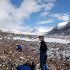 Searching for lichens